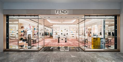 fendi contact france|what is fendi known for.